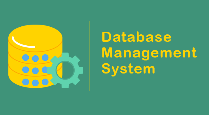 Database Management Systems - Level One