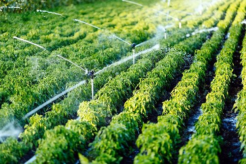 Irrigation systems Design