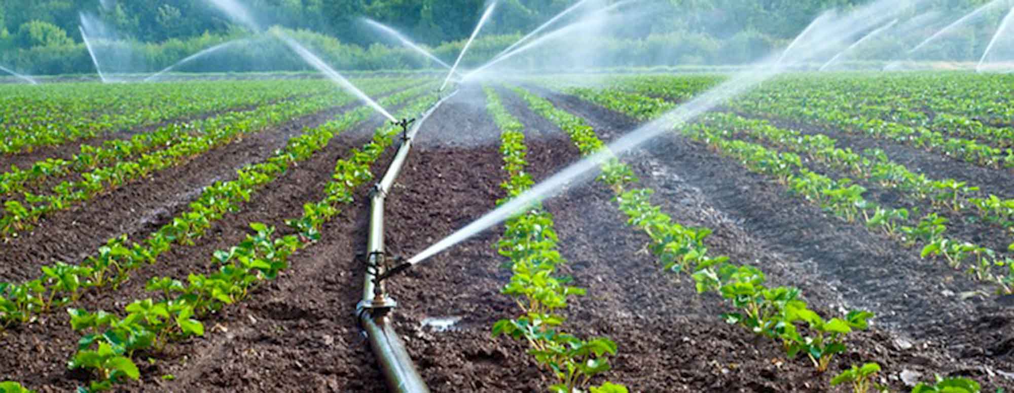 Irrigation systems Design